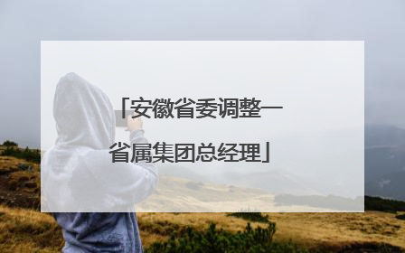 安徽省委调整一省属集团总经理