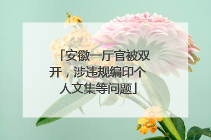 安徽一厅官被双开，涉违规编印个人文集等问题