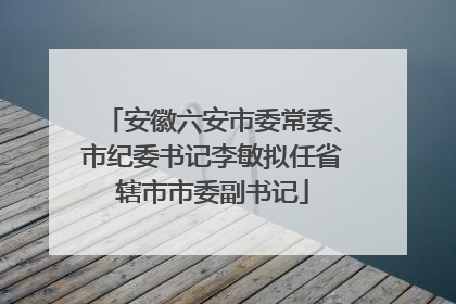 安徽六安市委常委、市纪委书记李敏拟任省辖市市委副书记
