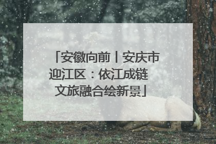 安徽向前丨安庆市迎江区：依江成链 文旅融合绘新景