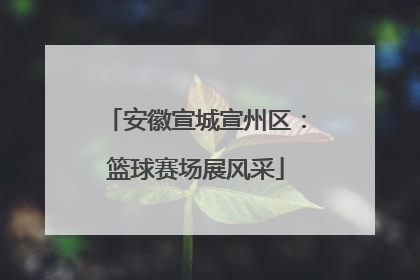 安徽宣城宣州区：篮球赛场展风采