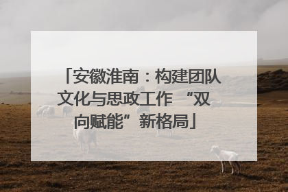 安徽淮南：构建团队文化与思政工作 “双向赋能”新格局