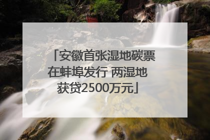 安徽首张湿地碳票在蚌埠发行 两湿地获贷2500万元
