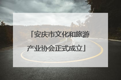 安庆市文化和旅游产业协会正式成立