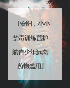 安阳：小小禁毒训练营护航青少年远离药物滥用