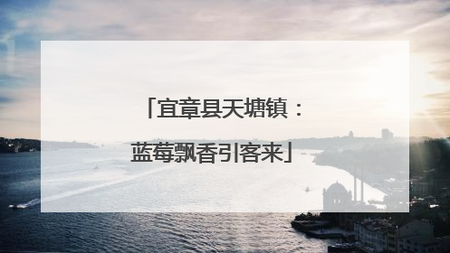 宜章县天塘镇：蓝莓飘香引客来