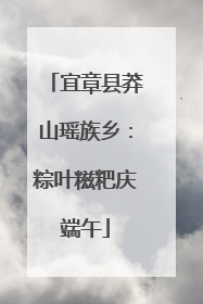 宜章县莽山瑶族乡：粽叶糍粑庆端午
