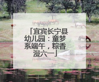 宜宾长宁县幼儿园：童梦系端午，粽香漫六一
