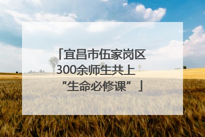 宜昌市伍家岗区300余师生共上“生命必修课”