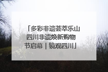 多彩非遗荟萃乐山 四川非遗焕新购物节启幕｜镜观四川