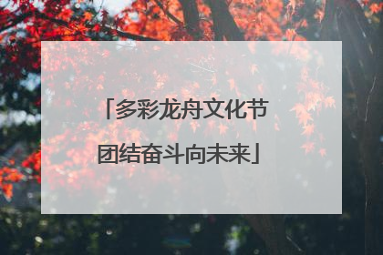 多彩龙舟文化节 团结奋斗向未来