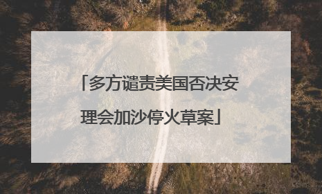 多方谴责美国否决安理会加沙停火草案