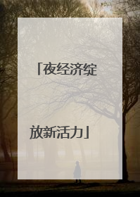 夜经济绽放新活力