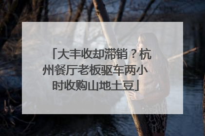 大丰收却滞销？杭州餐厅老板驱车两小时收购山地土豆