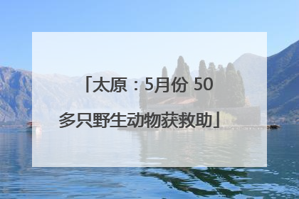 太原：5月份 50多只野生动物获救助