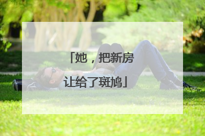 她，把新房让给了斑鸠