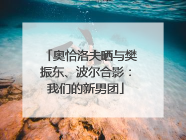 奥恰洛夫晒与樊振东、波尔合影：我们的新男团
