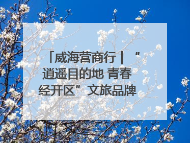 威海营商行｜“逍遥目的地 青春经开区”文旅品牌推介走进韩国