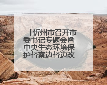 忻州市召开市委书记专题会暨中央生态环境保护督察边督边改工作推进会