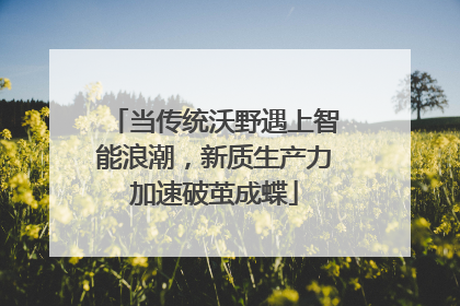 当传统沃野遇上智能浪潮，新质生产力加速破茧成蝶