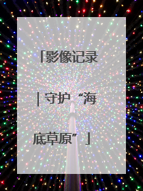 影像记录｜守护“海底草原”