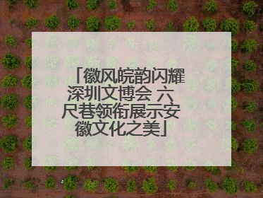 徽风皖韵闪耀深圳文博会 六尺巷领衔展示安徽文化之美