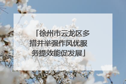 徐州市云龙区多措并举强作风优服务提效能促发展