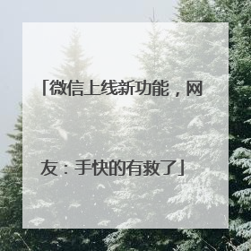 微信上线新功能，网友：手快的有救了