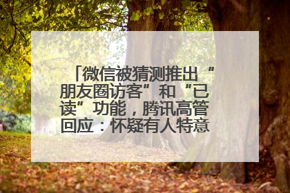 微信被猜测推出“朋友圈访客”和“已读”功能，腾讯高管回应：怀疑有人特意反复翻炒流量