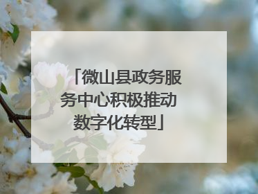 微山县政务服务中心积极推动数字化转型