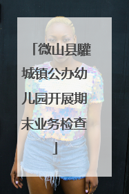 微山县驩城镇公办幼儿园开展期末业务检查