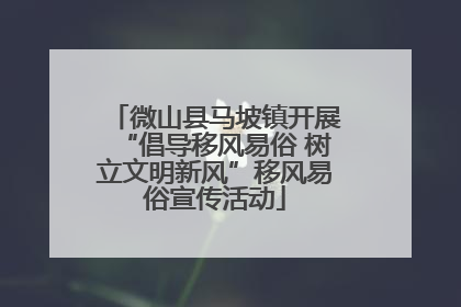 微山县马坡镇开展“倡导移风易俗 树立文明新风”移风易俗宣传活动