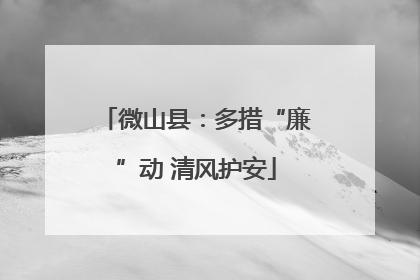 微山县：多措“廉”动 清风护安