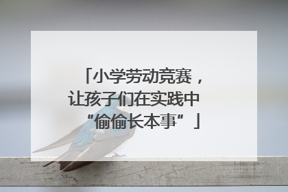 小学劳动竞赛，让孩子们在实践中“偷偷长本事”