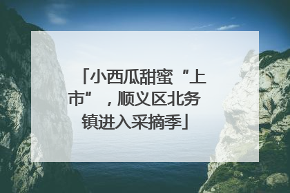 小西瓜甜蜜“上市”，顺义区北务镇进入采摘季