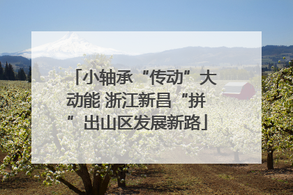 小轴承“传动”大动能 浙江新昌“拼”出山区发展新路