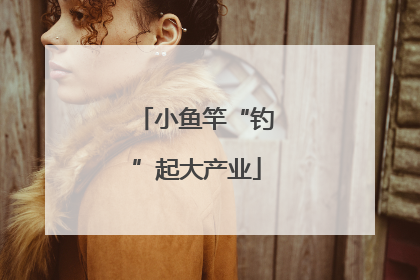 小鱼竿“钓”起大产业