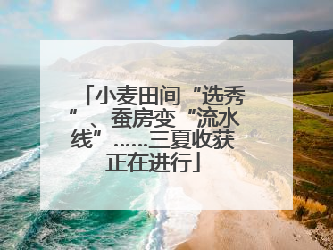 小麦田间“选秀”、蚕房变“流水线”……三夏收获正在进行