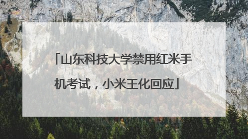 山东科技大学禁用红米手机考试，小米王化回应