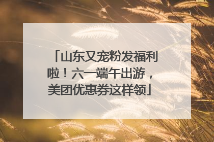 山东又宠粉发福利啦！六一端午出游，美团优惠券这样领