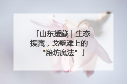 山东援藏｜生态援藏，戈壁滩上的“潍坊魔法”