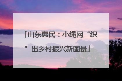 山东惠民：小绳网“织”出乡村振兴新图景