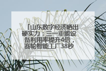 山东数字经济晒出硬实力：三一重能设备利用率提升4倍，赛轮智能工厂38秒生产一条轮胎