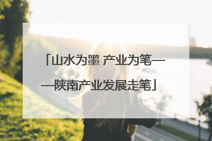 山水为墨 产业为笔——陕南产业发展走笔