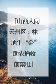 山西大同云州区：林地生“金” 助农增收前景旺