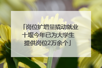 岗位扩增量撬动就业 十堰今年已为大学生提供岗位2万余个