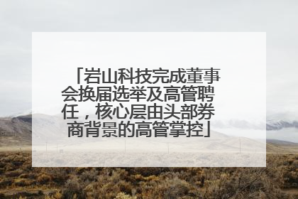 岩山科技完成董事会换届选举及高管聘任，核心层由头部券商背景的高管掌控