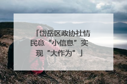 岱岳区政协社情民意“小信息”实现“大作为”