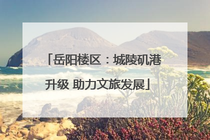 岳阳楼区：城陵矶港升级 助力文旅发展
