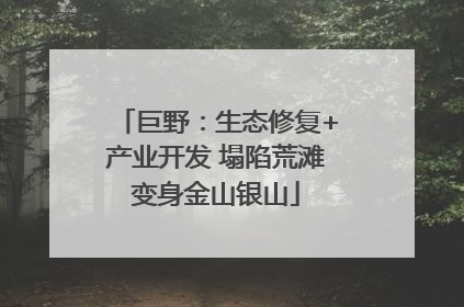 巨野：生态修复+产业开发 塌陷荒滩变身金山银山